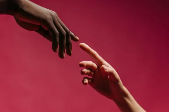 카지노 베가스 크레스트 지원